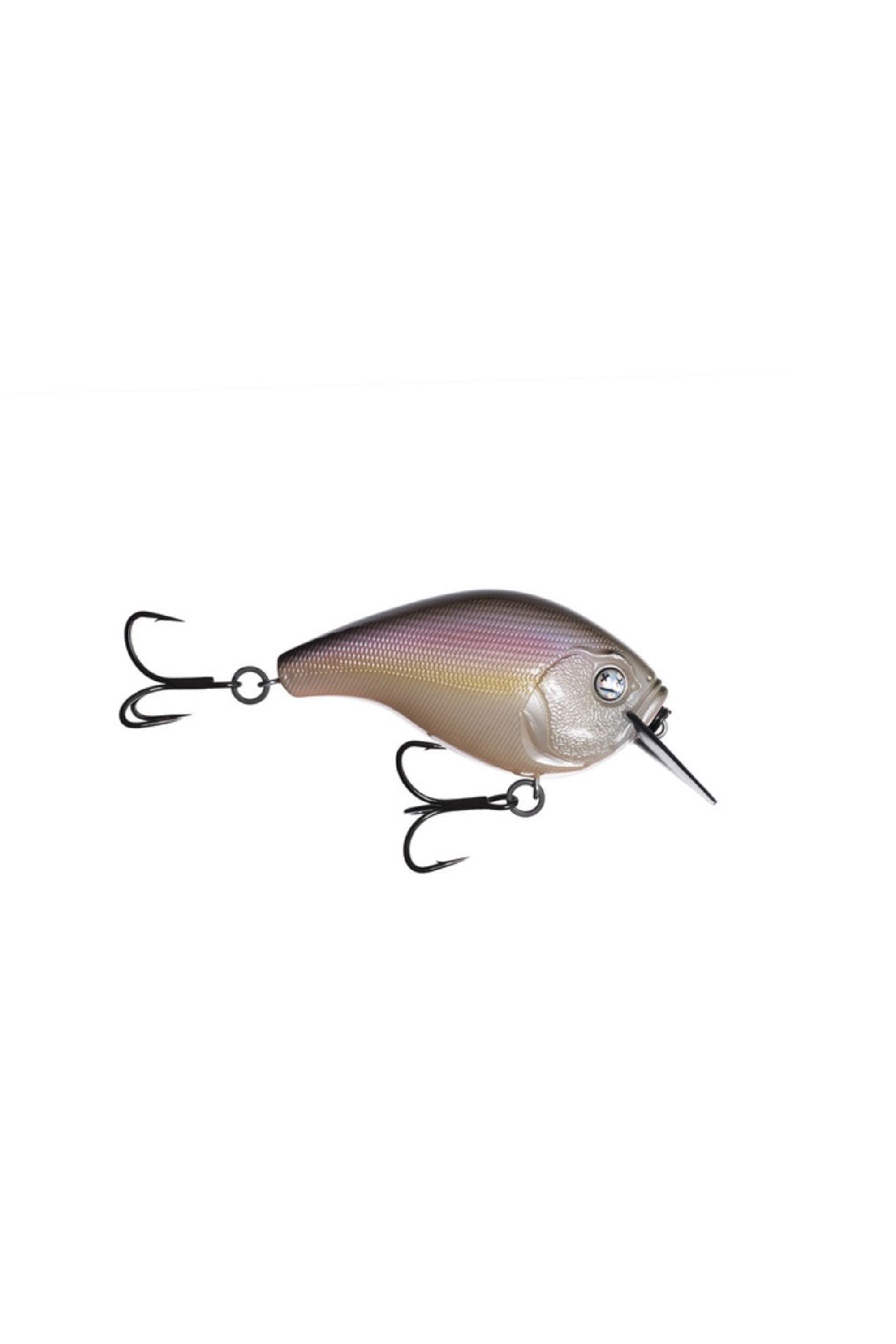 Regurgitated Shad
