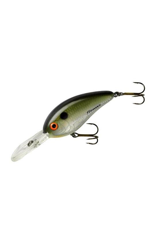 Tennessee Shad