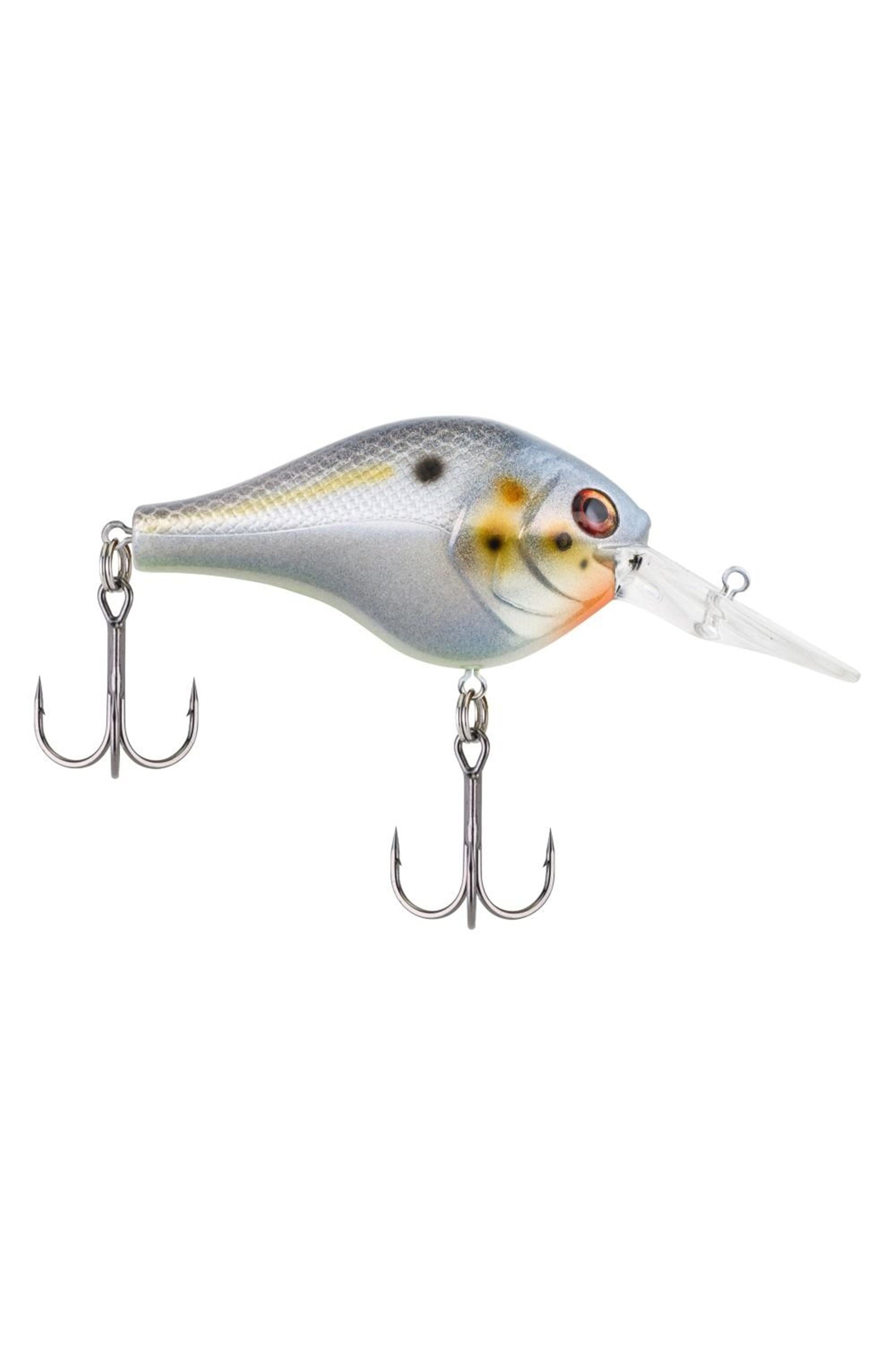 Sexier Shad