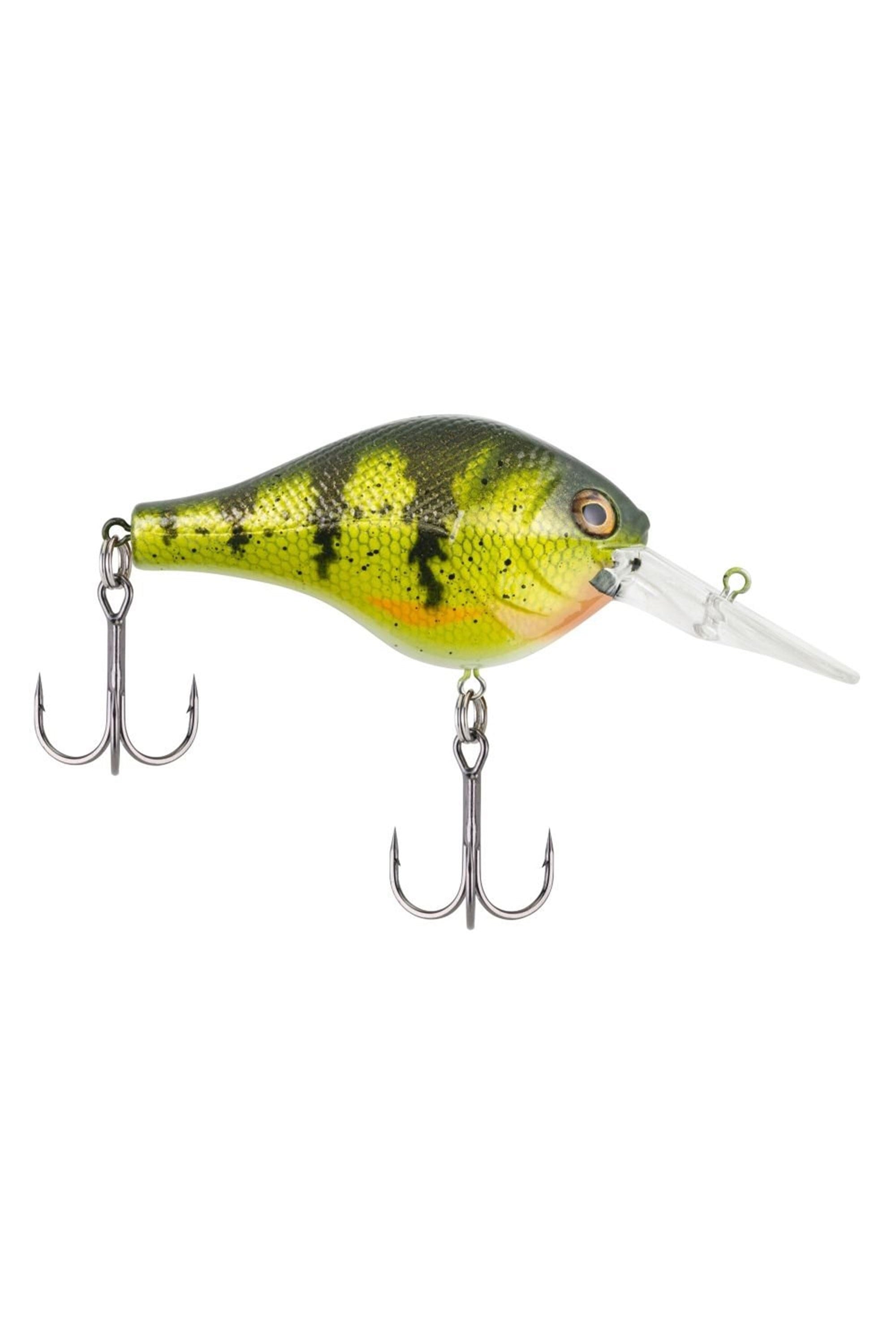 Yellow Perch