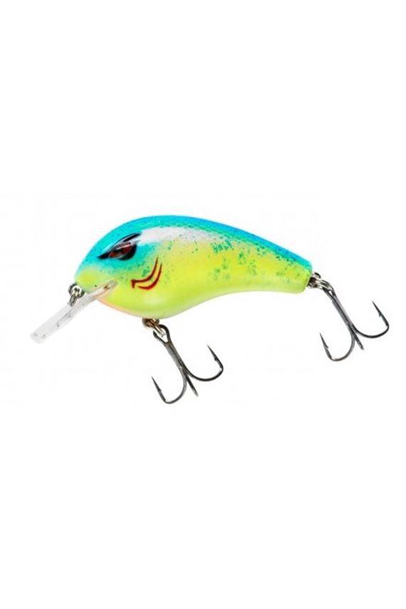 Chartreuse Blue Back