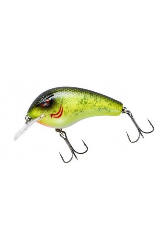 Chartreuse Black Back