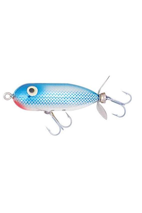Blue Shiner