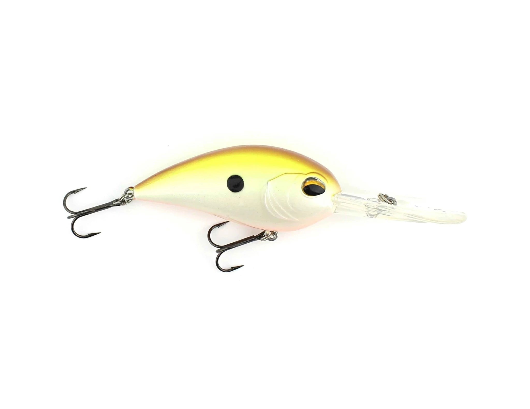 Rootbeer Shad