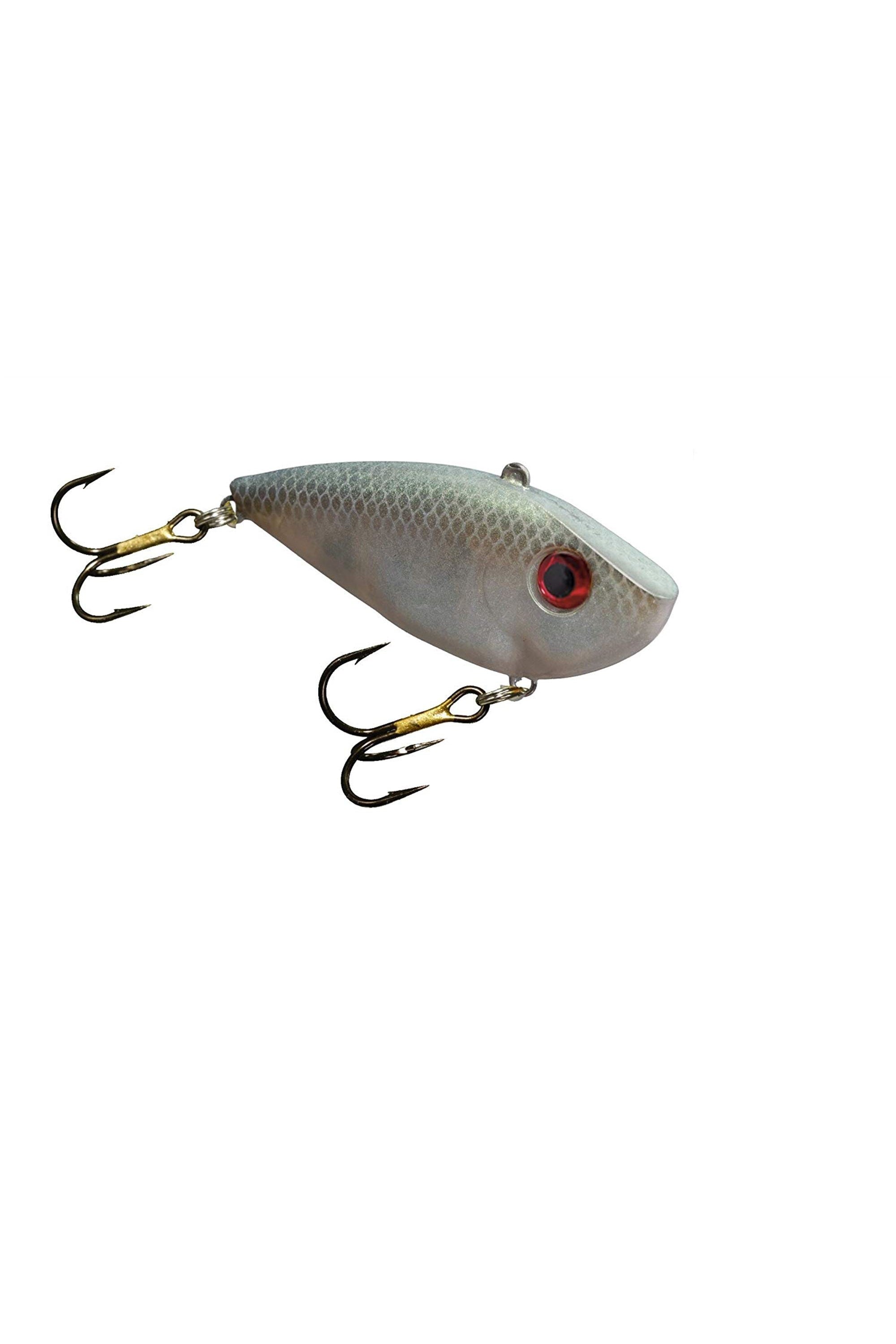 Green Gizzard Shad
