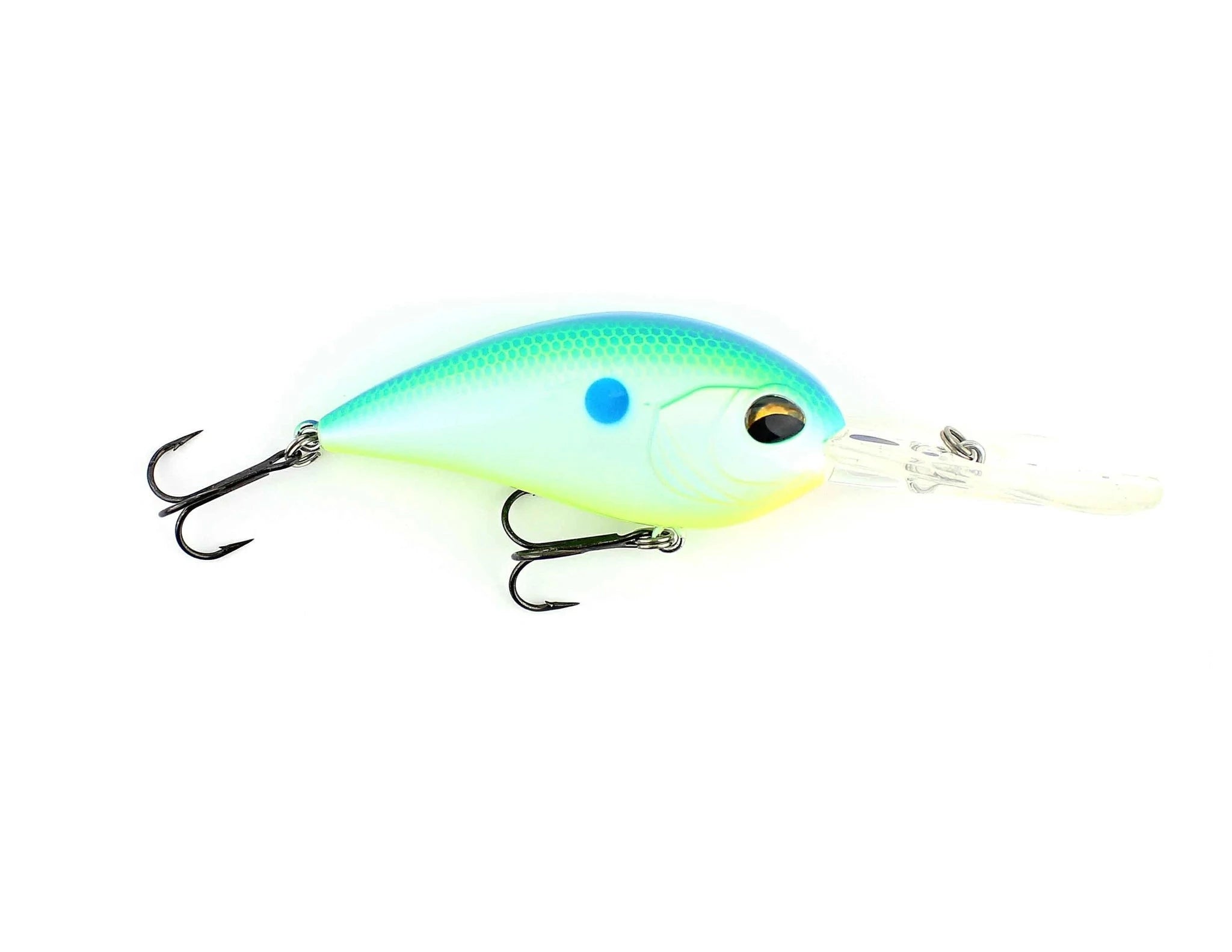 Citrus Shad
