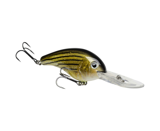 Barfish