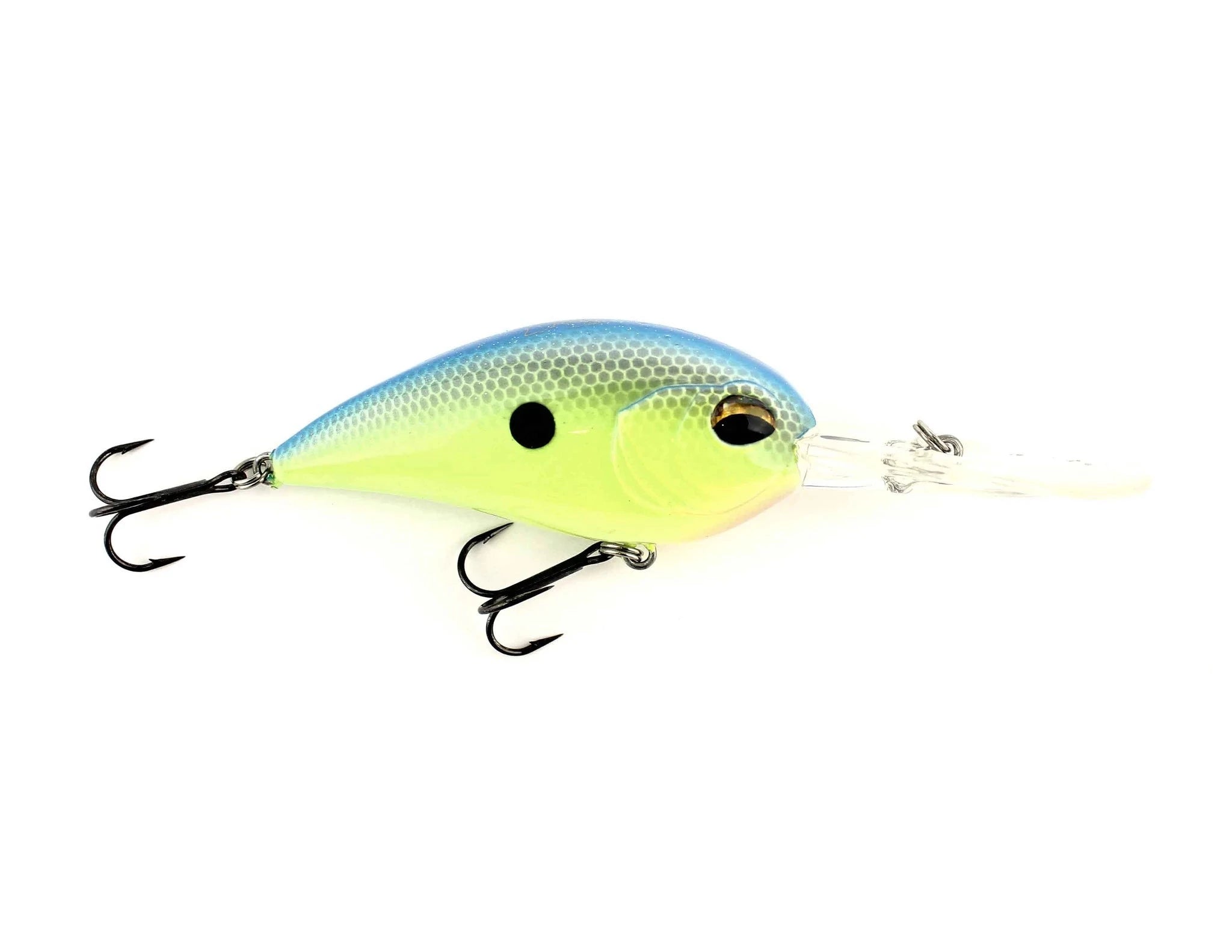 Tropical Shad