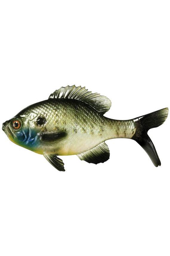 Natural Sunfish