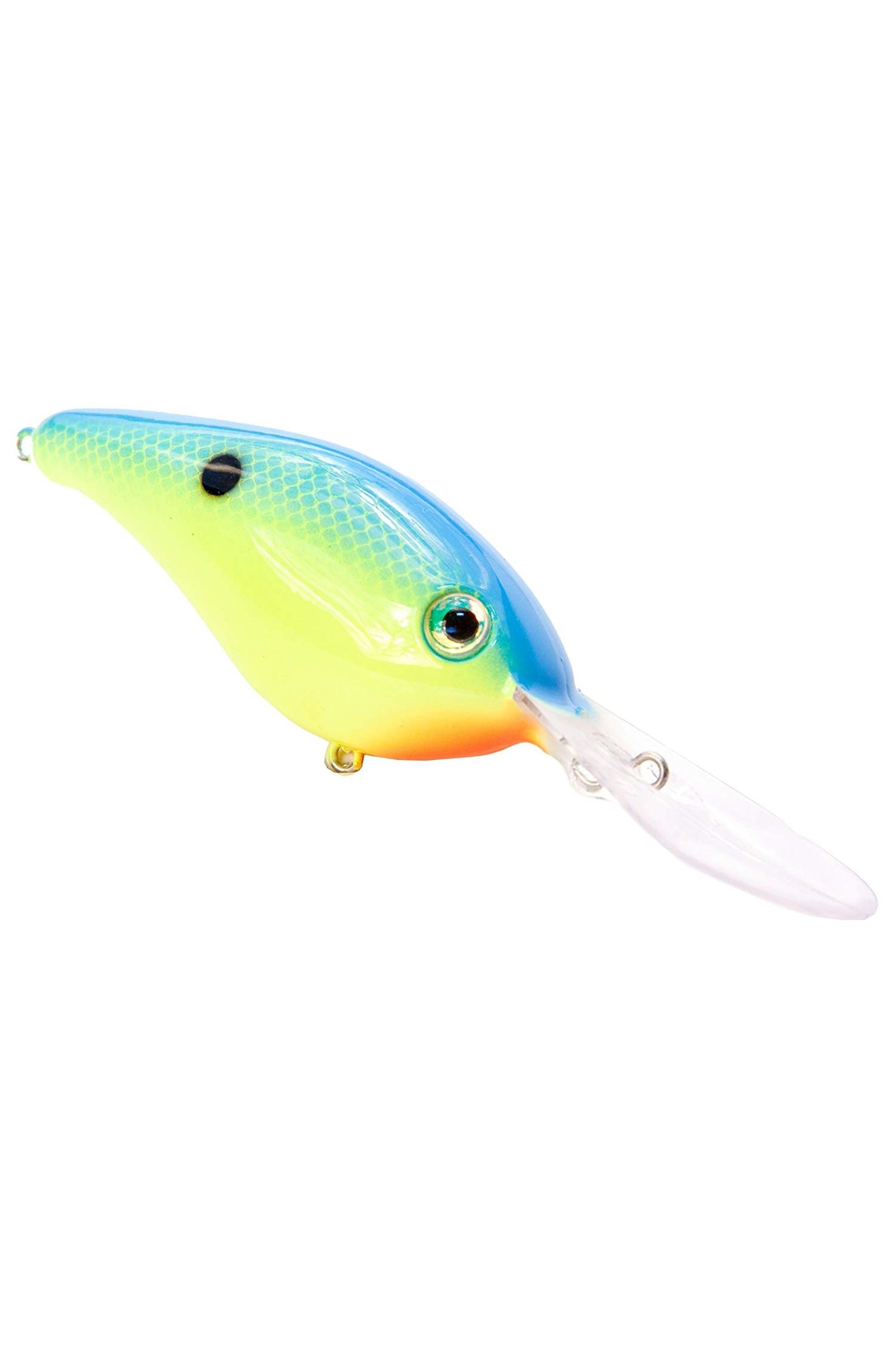 Powder Blue Back Chartreuse