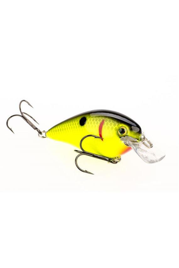 Black Back Chartreuse