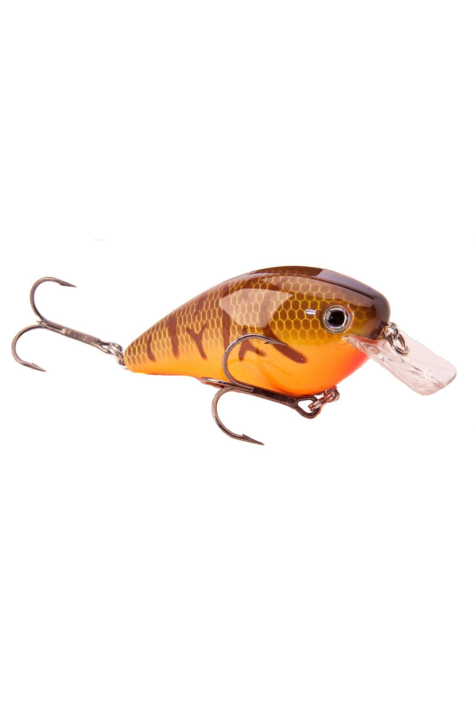 Orange Belly Craw