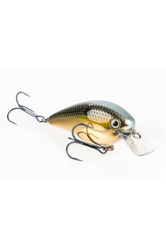 Gold Sexy Shad