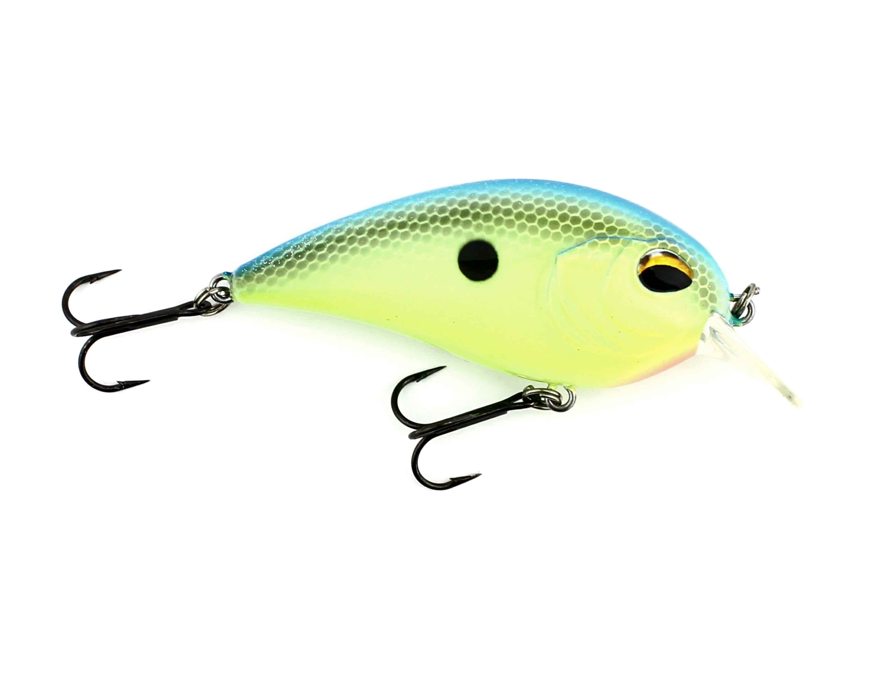 Tropical Shad