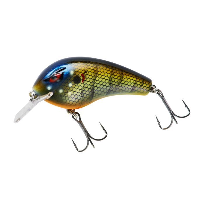 Bluegill