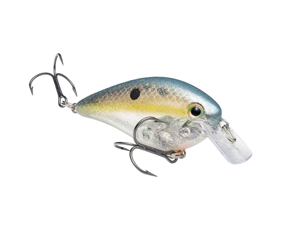 Clear Sexy Shad