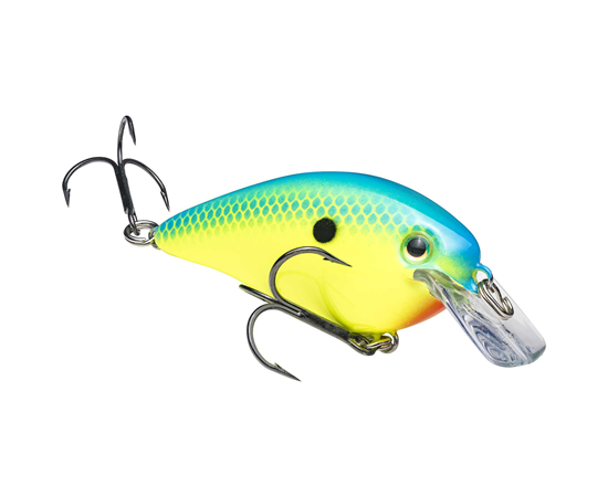 Powder Blue Back Chartreuse