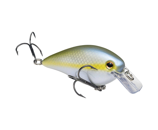 Sexy Blue Back Herring