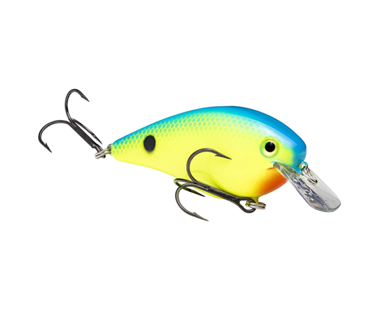 Powder Blue Back Chartreuse