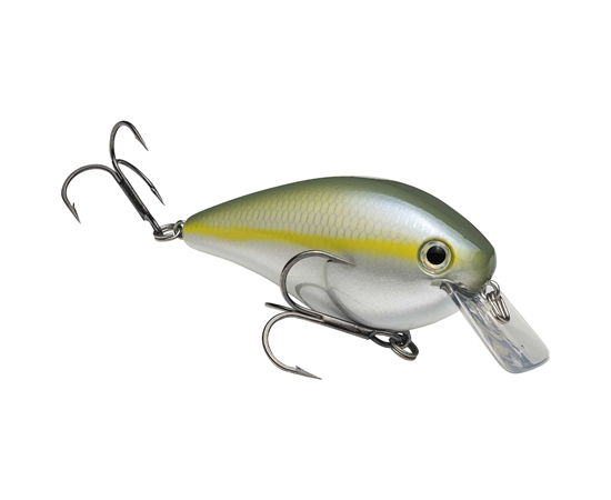 Sexy Blue Back Herring