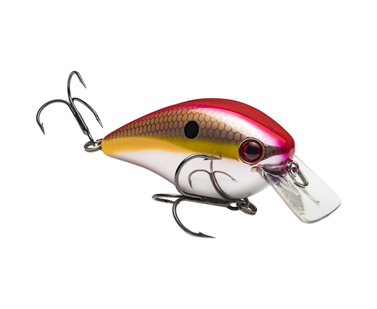 Sexy Shad