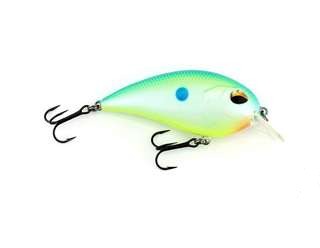 Citrus Shad