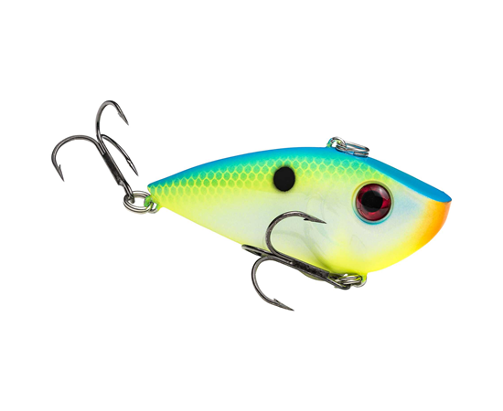 Citrus Shad
