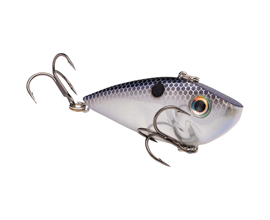 Chrome Blue Back