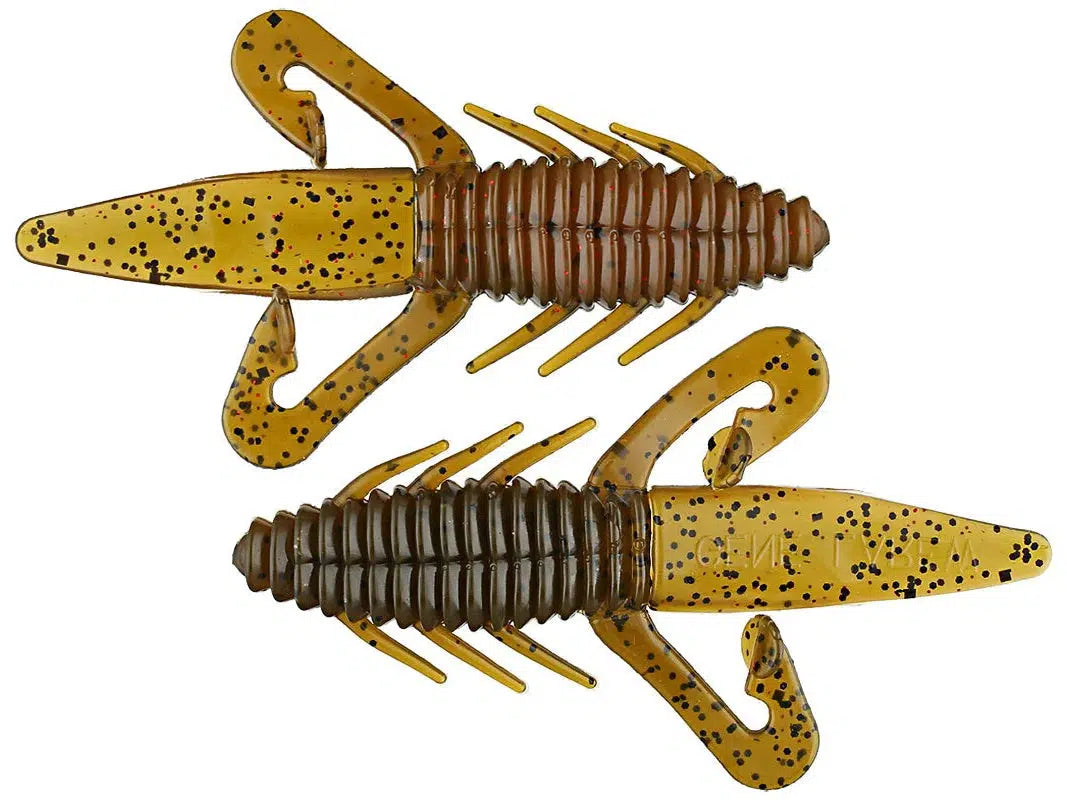 Green Pumpkin/Pumpkin Neon